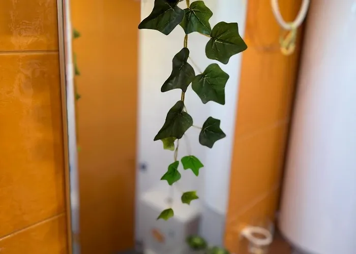 Harbour Top-view Terrace 2-bdr Варна